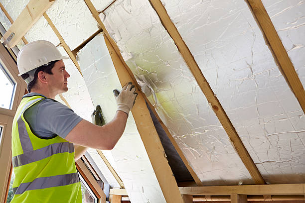 Best Insulation for Specific Applications in Waihee Waiehu, HI
